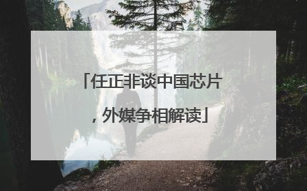 任正非谈中国芯片，外媒争相解读