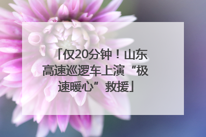 仅20分钟！山东高速巡逻车上演“极速暖心”救援
