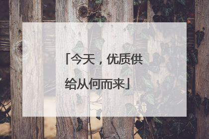 今天，优质供给从何而来