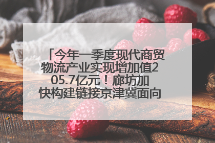 今年一季度现代商贸物流产业实现增加值205.7亿元！廊坊加快构建链接京津冀面向全世界的物流通道
