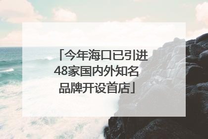 今年海口已引进48家国内外知名品牌开设首店