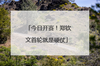 今日开赛！郑钦文首轮就是硬仗