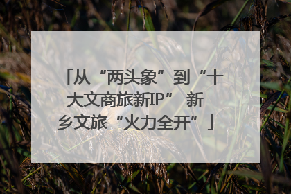 从“两头象”到“十大文商旅新IP” 新乡文旅“火力全开”