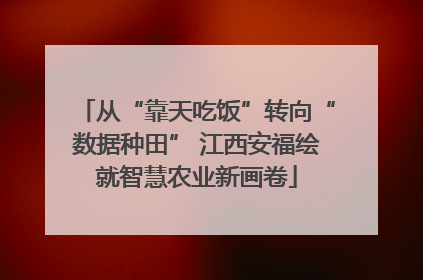 从“靠天吃饭”转向“数据种田” 江西安福绘就智慧农业新画卷
