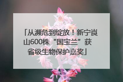 从濒危到绽放！新宁崀山600株“国宝兰”获省级生物保护嘉奖