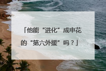 他能“进化”成申花的“第六外援”吗？