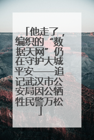 他走了，编织的“数据天网”仍在守护大城平安——追记武汉市公安局因公牺牲民警万松