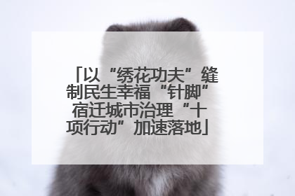 以“绣花功夫”缝制民生幸福“针脚” 宿迁城市治理“十项行动”加速落地