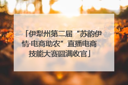 伊犁州第二届“苏韵伊情·电商助农”直播电商技能大赛圆满收官