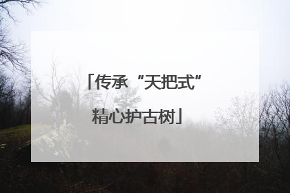 传承“天把式” 精心护古树