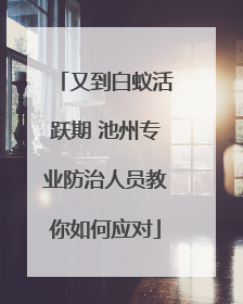 又到白蚁活跃期 池州专业防治人员教你如何应对