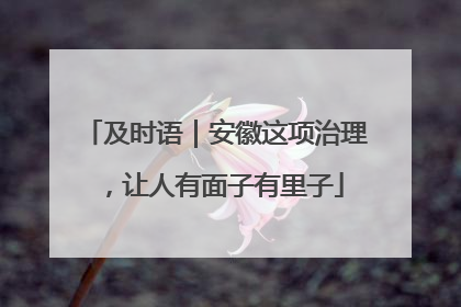 及时语｜安徽这项治理，让人有面子有里子