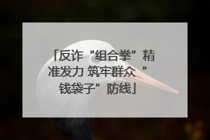 反诈“组合拳”精准发力 筑牢群众“钱袋子”防线