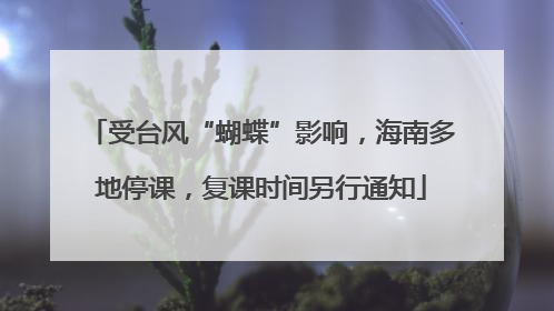 受台风“蝴蝶”影响，海南多地停课，复课时间另行通知