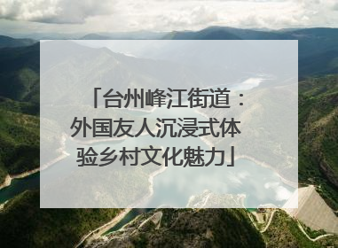 台州峰江街道：外国友人沉浸式体验乡村文化魅力