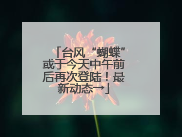 台风“蝴蝶”或于今天中午前后再次登陆！最新动态→