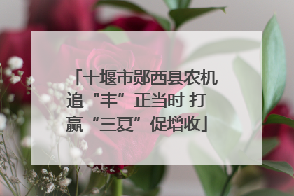 十堰市郧西县农机追“丰”正当时 打赢“三夏”促增收