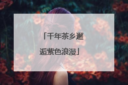 千年茶乡邂逅紫色浪漫
