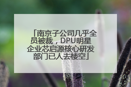 南京子公司几乎全员被裁，DPU明星企业芯启源核心研发部门已人去楼空