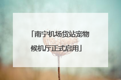 南宁机场货站宠物候机厅正式启用