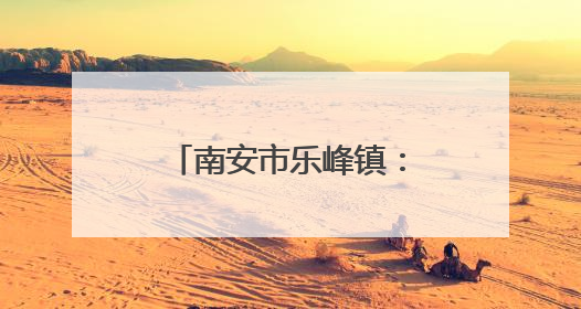 南安市乐峰镇：多维联动治乱象 筑牢防线护民生