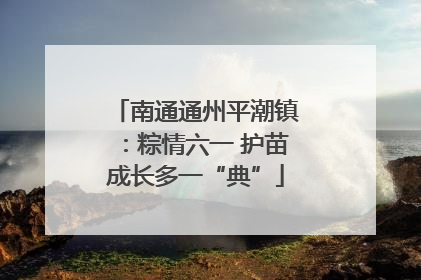 南通通州平潮镇：粽情六一 护苗成长多一“典”
