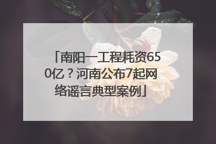 南阳一工程耗资650亿？河南公布7起网络谣言典型案例