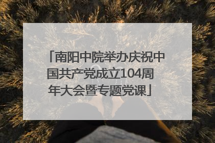 南阳中院举办庆祝中国共产党成立104周年大会暨专题党课