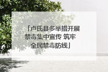 卢氏县多举措开展禁毒集中宣传 筑牢全民禁毒防线