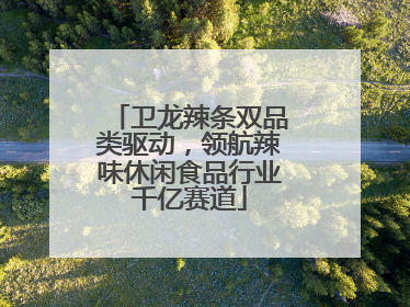 卫龙辣条双品类驱动，领航辣味休闲食品行业千亿赛道