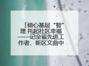 倾心基层“智”理 托起社区幸福——记全省先进工作者、新区文曲中心社区党委书记董世弘