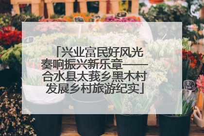 兴业富民好风光 奏响振兴新乐章——合水县太莪乡黑木村发展乡村旅游纪实