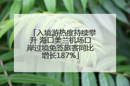 入境游热度持续攀升 海口美兰机场口岸过境免签旅客同比增长187%