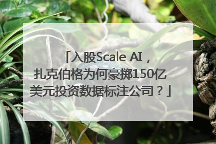 入股Scale AI，扎克伯格为何豪掷150亿美元投资数据标注公司？