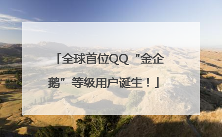 全球首位QQ“金企鹅”等级用户诞生！