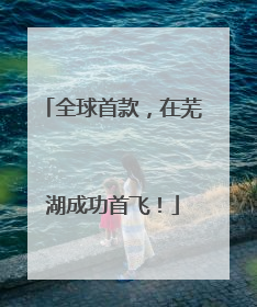 全球首款，在芜湖成功首飞！