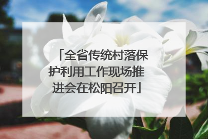 全省传统村落保护利用工作现场推进会在松阳召开