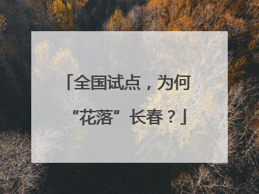 全国试点，为何“花落”长春？