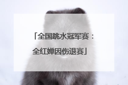 全国跳水冠军赛：全红婵因伤退赛