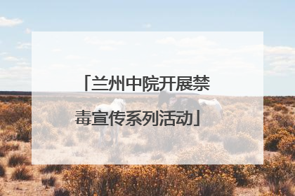 兰州中院开展禁毒宣传系列活动