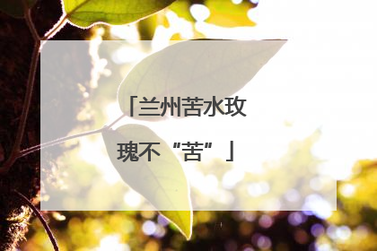 兰州苦水玫瑰不“苦”