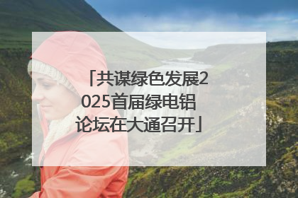 共谋绿色发展2025首届绿电铝论坛在大通召开