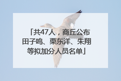 共47人，商丘公布田子鸣、栗东洋、朱翔等拟加分人员名单