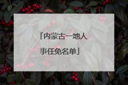 内蒙古一地人事任免名单