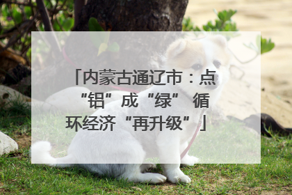 内蒙古通辽市：点“铝”成“绿” 循环经济“再升级”