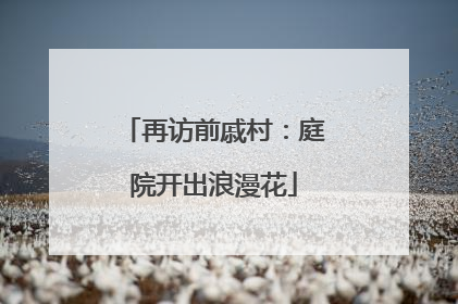 再访前戚村：庭院开出浪漫花
