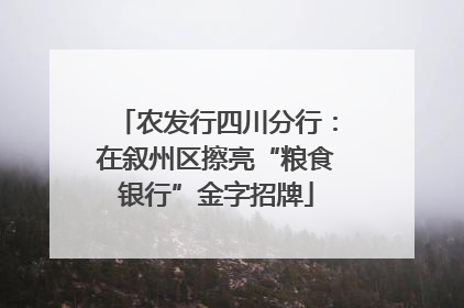 农发行四川分行：在叙州区擦亮“粮食银行”金字招牌