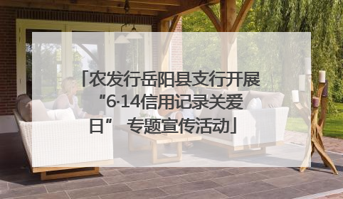 农发行岳阳县支行开展“6·14信用记录关爱日” 专题宣传活动