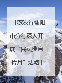 农发行衡阳市分行深入开展“民法典宣传月”活动