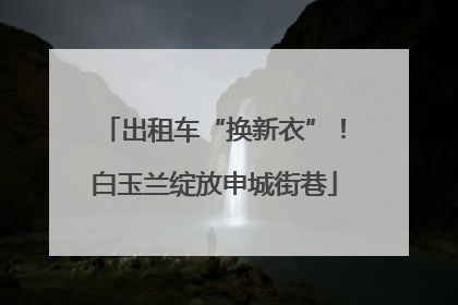 出租车“换新衣”！白玉兰绽放申城街巷